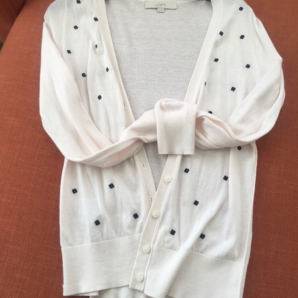Ann Taylor V-neck Sweater